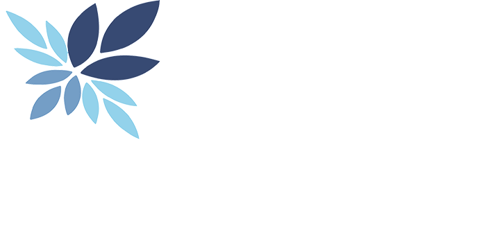 DDD banner logo